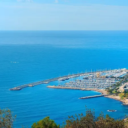 Silvia Degli Aregai *